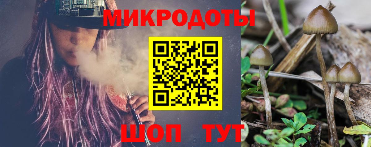 Екатеринбург  Галлюциногенные грибы Magic Shrooms  Вход с VPN  Псилоцибиновые грибы Magic Shrooms 