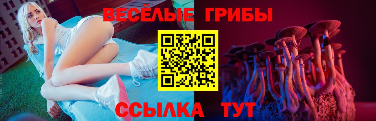 Псилоцибиновые грибы GOLDEN TEACHER Екатеринбург